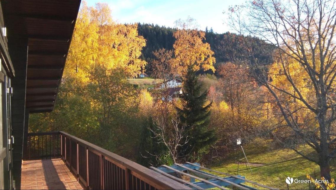 Chalet Les Chardons Gérardmer Eksteriør billede
